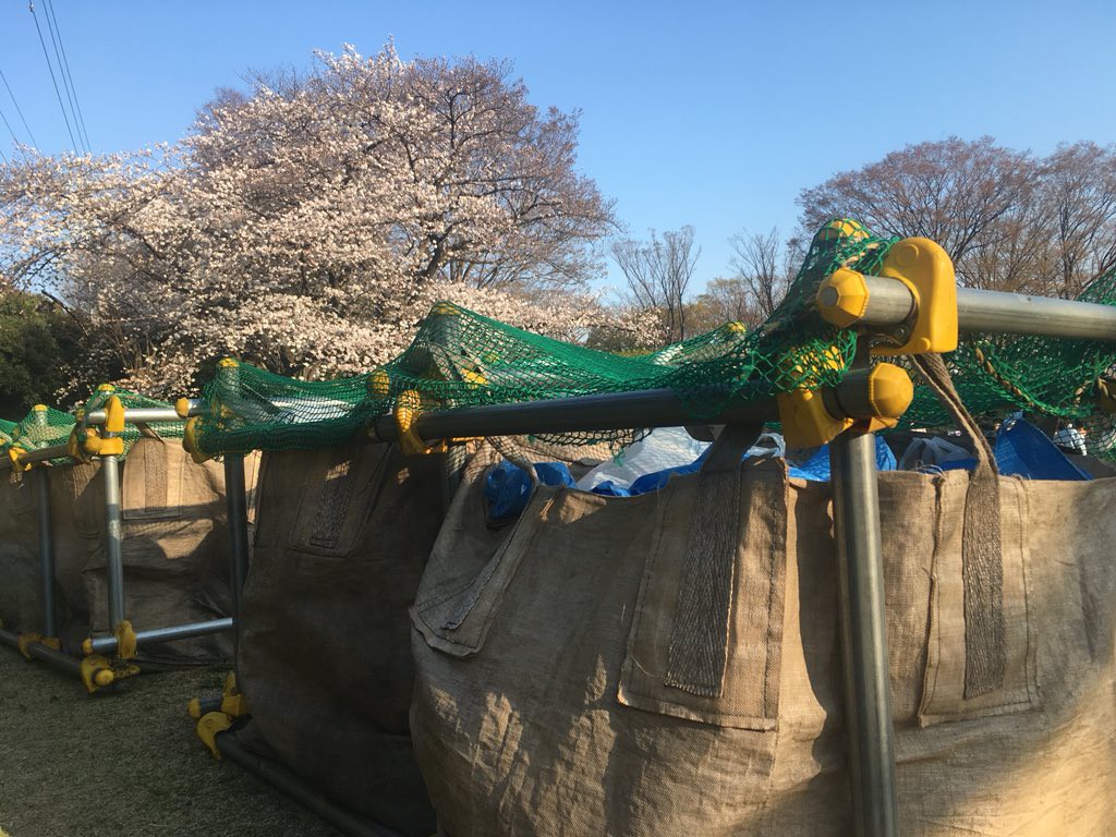 Đi ngắm hoa anh đào rồi để lại cả núi rác, đến người dân Nhật Bản cũng phải lắc đầu ngao ngán khi thấy những cảnh này